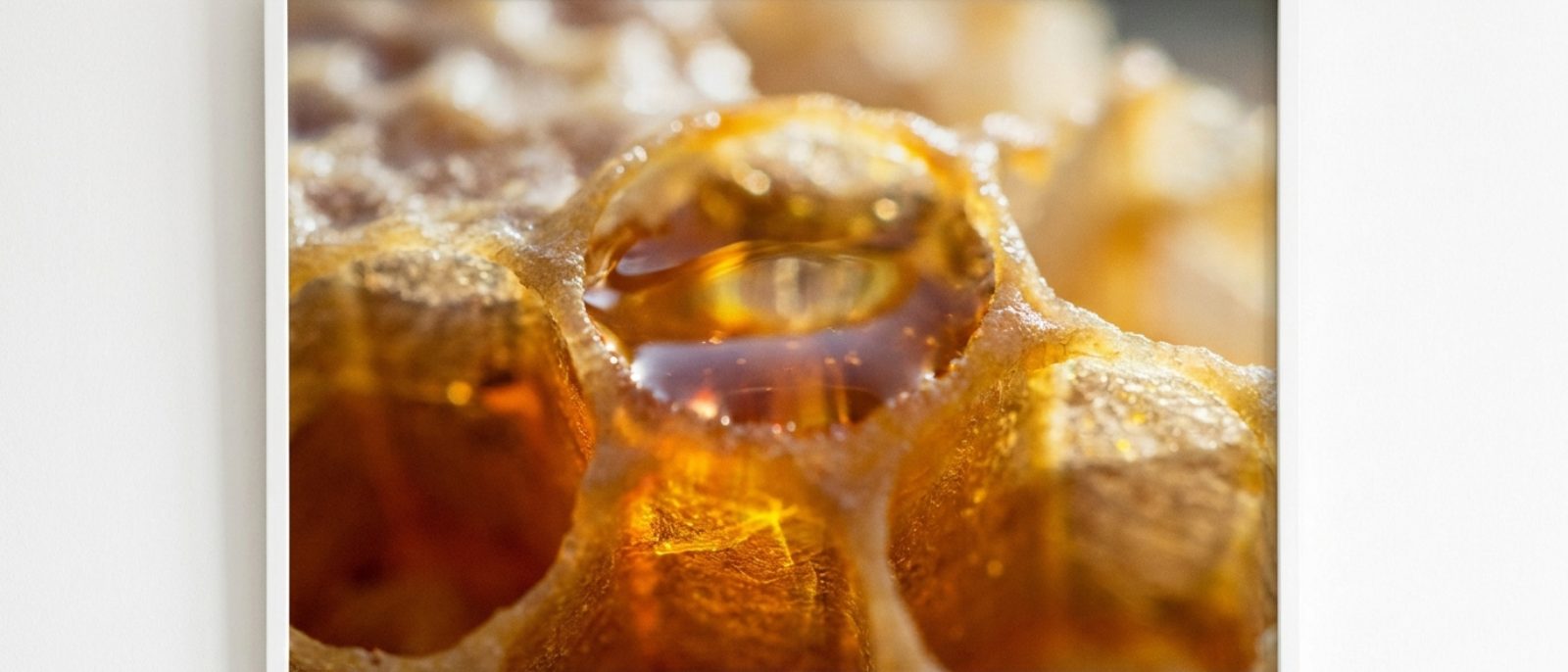عسل داخل خلية — لقطة مقرّبة تملأ الإطار